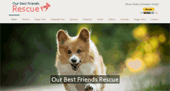 Desktop Screenshot of ourbestfriendsrescue.org